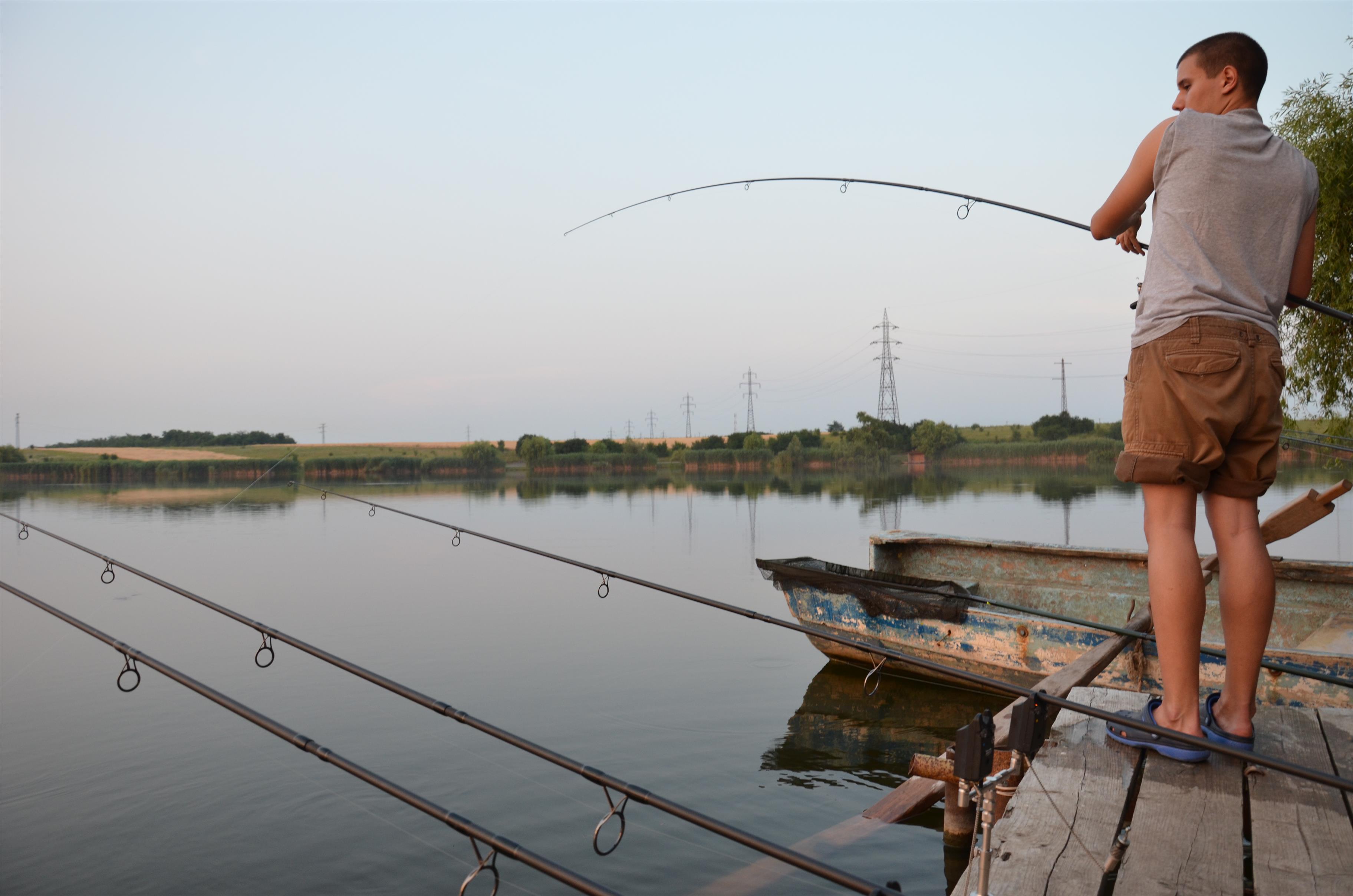 Sezon 2012 - Tancabesti